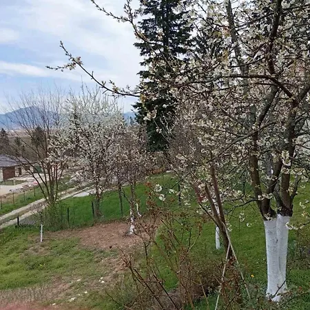 Holiday home Spot Sarajevo