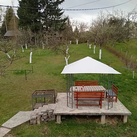 Spot * Sarajevo