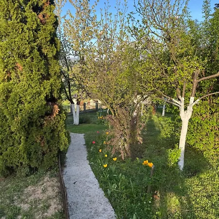 Ferienhaus Spot Sarajevo